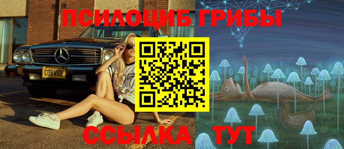 Галлюциногенные грибы прущие грибы  Вход с VPN  Кушва 